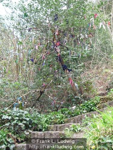 Holy Well (Tobernalt), County Sligo